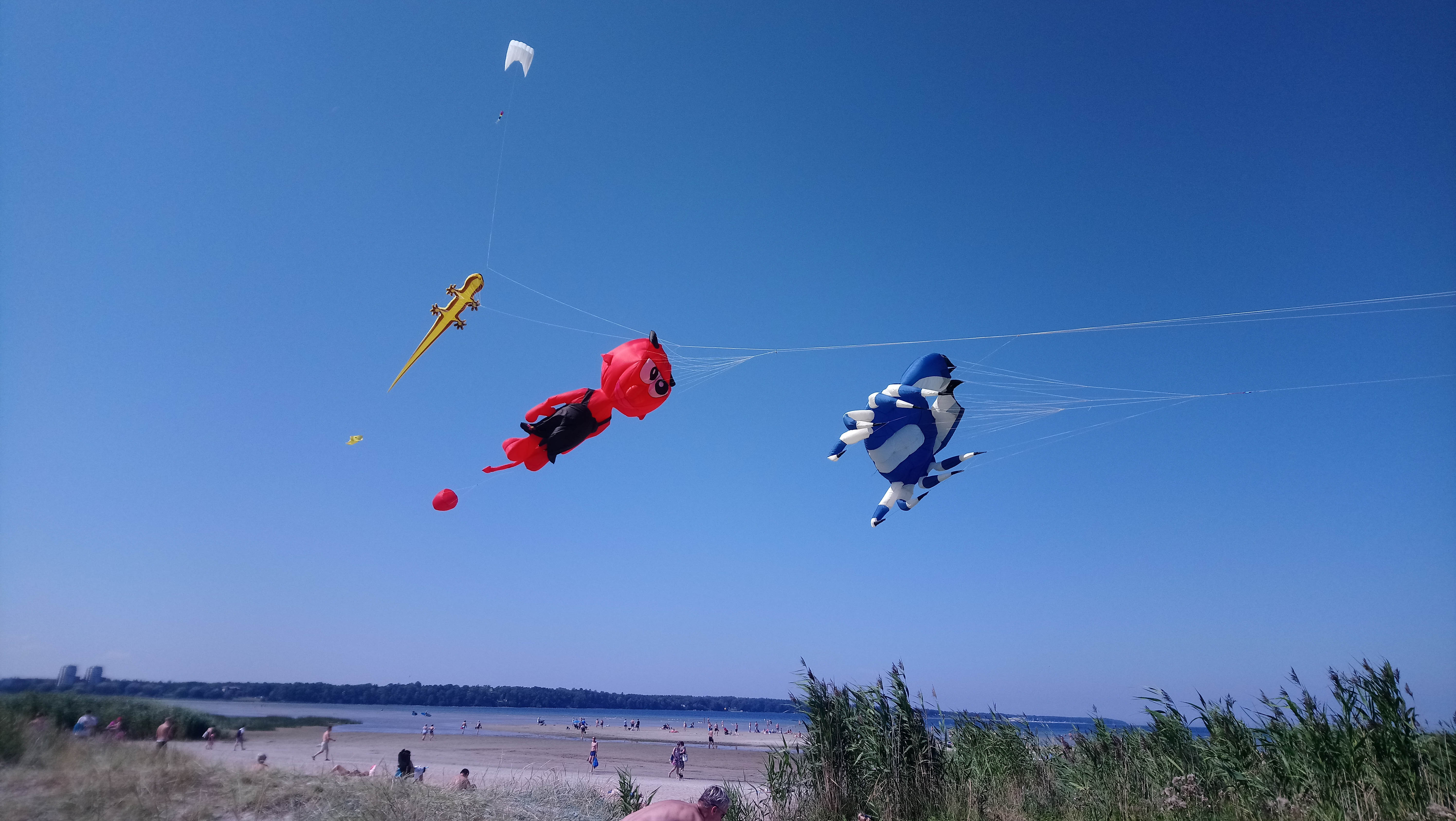 Stroom kite festival