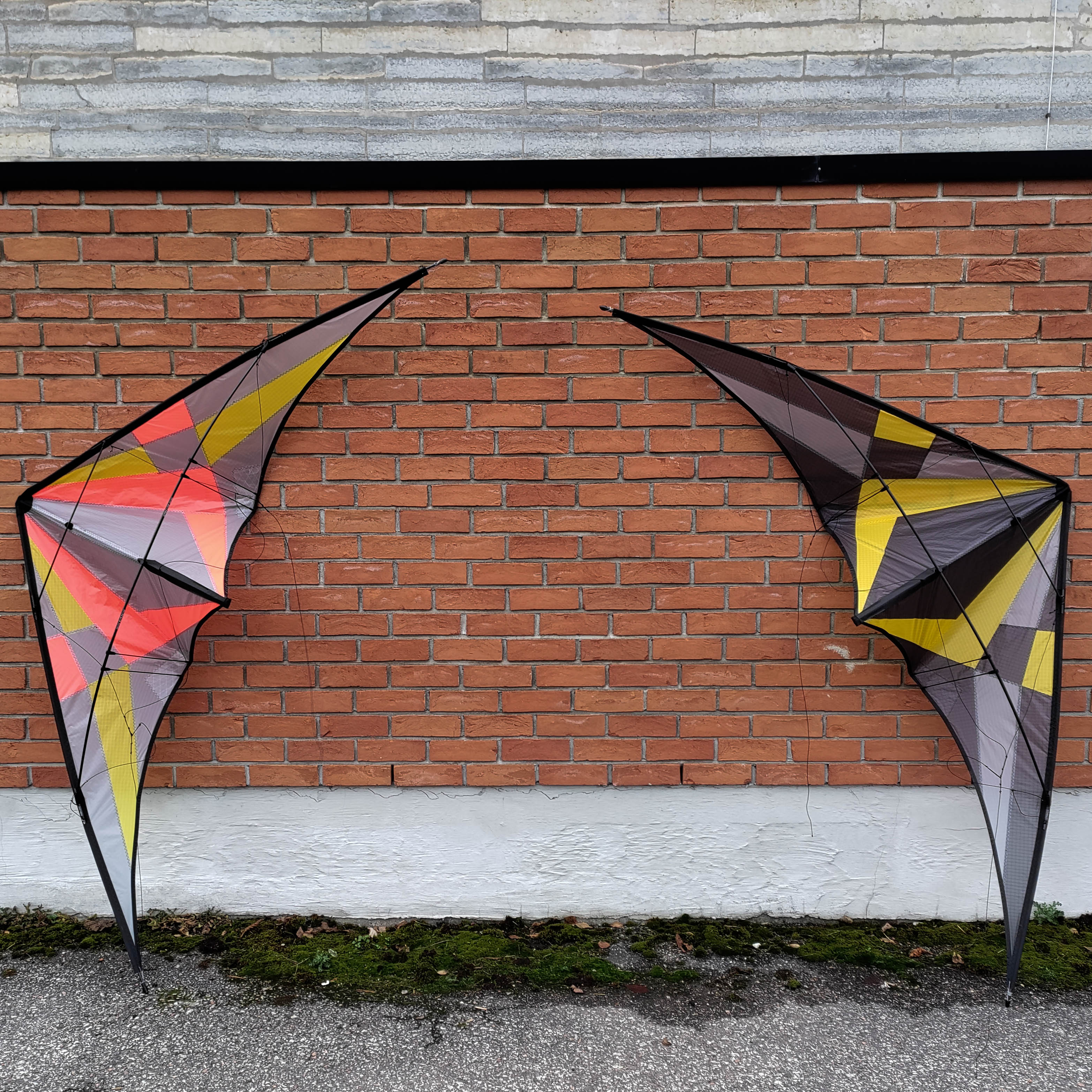 Sport Kite 3