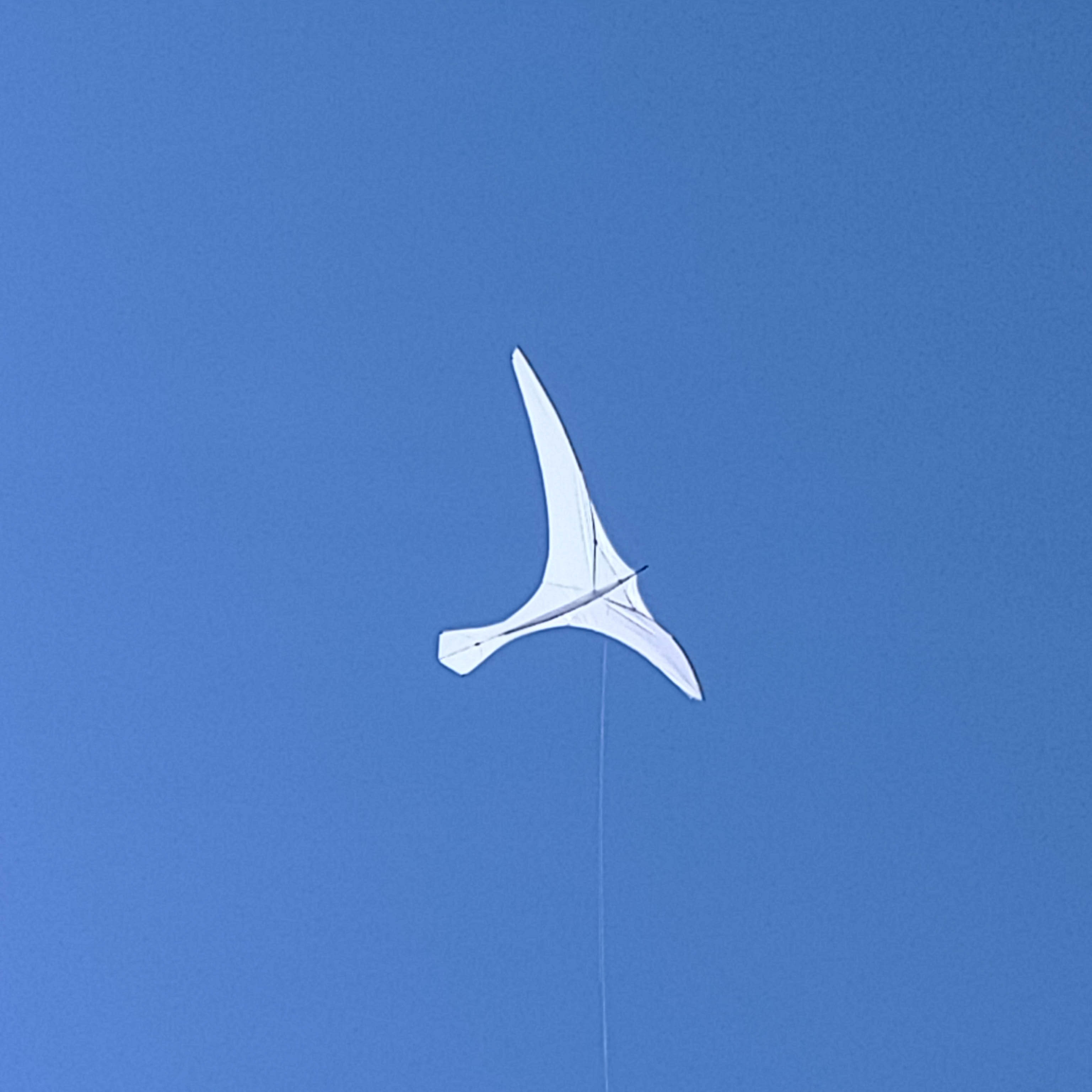 Sport Kite 5