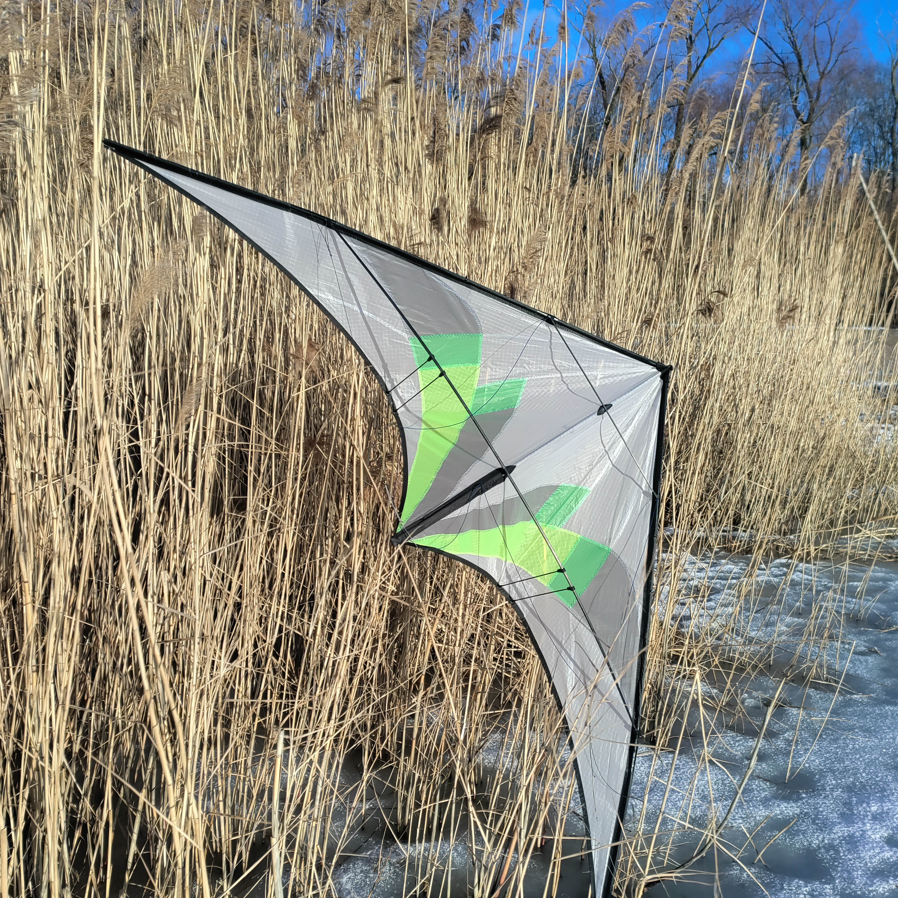Sport Kite 9